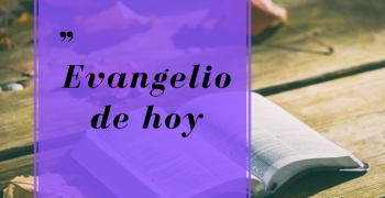 EVANGELIO DEL DIA